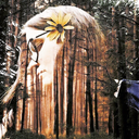 wondering-spirit-chick avatar