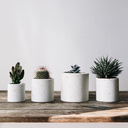 wondering-why avatar