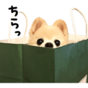 wonderingpup-blog avatar