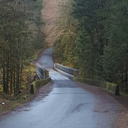 wonderingtravler avatar