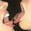 wonderland-in-flames avatar