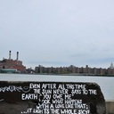 wonderlandhopeful avatar