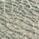 wonders-of-lyfe avatar