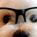 wondersforyou avatar