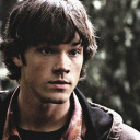 wondersofdeath avatar