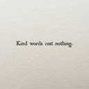 wonderwalldarling avatar