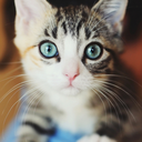 wont-follow-u-blog avatar