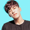 wonwooi avatar