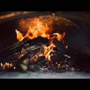 woodfired avatar
