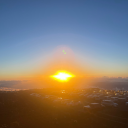 woodlandgirl22-blog-blog avatar