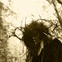 woodlandshrine avatar