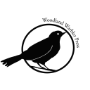 woodlandwarbler avatar
