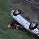 woodnymph3tt3 avatar