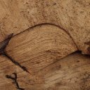 woodportraits avatar