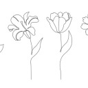 woods-and-lyrical-flowers avatar