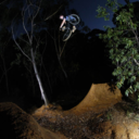 woodsandwolves avatar