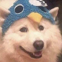 woodscreature avatar