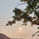 woodsplitter1 avatar