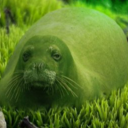 woodstoneduck avatar