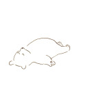 woodvale-truther avatar