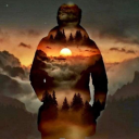 woodwright-chronicles avatar