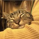 woofie-wuvs-wuv avatar