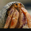 word-by-words avatar