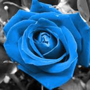 word-smoothies avatar