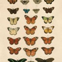 wordgirlsupremacy avatar