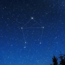 wordplaywonders avatar