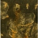 wordpress-blaze-106481623 avatar