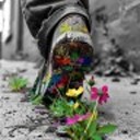 wordpress-blaze-130120736 avatar