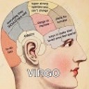 wordpress-blaze-176336203 avatar