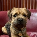 wordpress-blaze-221397192 avatar