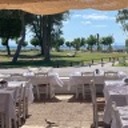 wordpress-blaze-240179796 avatar