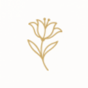 wordpress-blaze-248800756 avatar