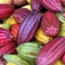 wordpress-blaze-46997509 avatar