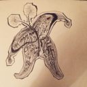 words-bring-me-peace avatar