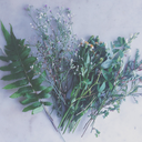 words-dont-sink-it-swims avatar