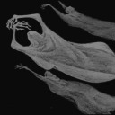 words-of-fiammalix avatar