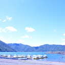 words-of-mine avatar