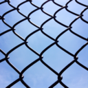 words-of-stupidity avatar