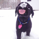 wordsareeasyy avatar