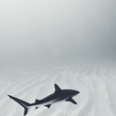 wordscaptivatethemind avatar