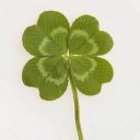 wordsforyou111 avatar