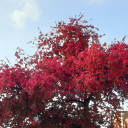 wordsthatache avatar