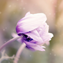 wordswisdomandpicslove avatar