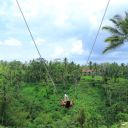 work-in-progressx avatar