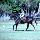 work-n-tumble-blog avatar