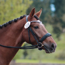 working-hunter avatar